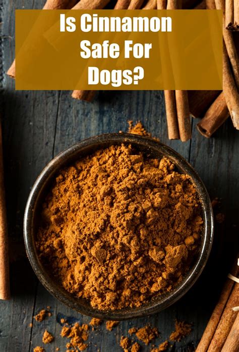 Is ground cinnamon safe for pets?