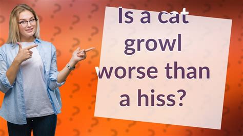 Is growling or hissing worse?
