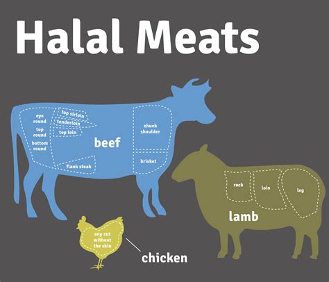 Is halal painful for animals?