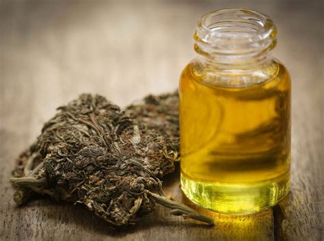 Is hash oil more potent?