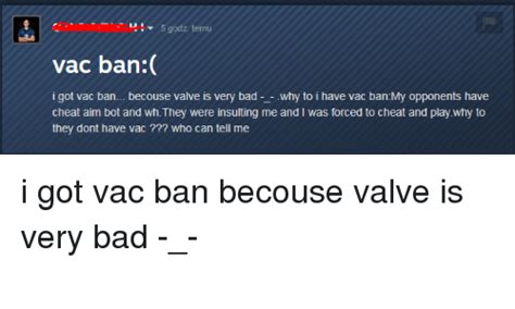 Is having a VAC ban bad?