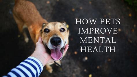 Is having a pet good for mental health?