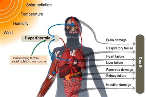 Is heat bad for the brain?