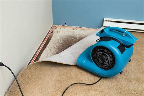 Is heat or AC better to dry carpet?