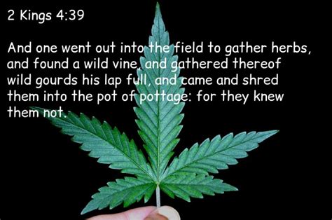 Is hemp used in the Bible?