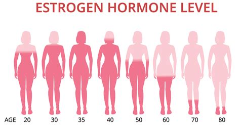 Is high estrogen attractive?