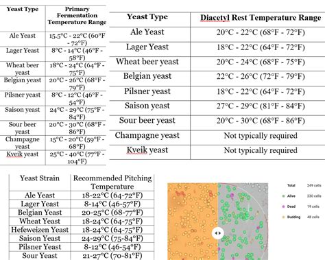 Is higher temperature better for fermentation?