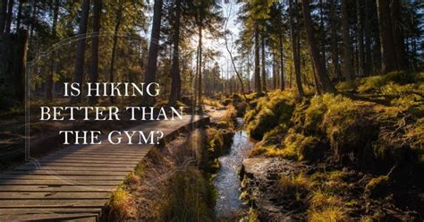 Is hiking better than the gym?