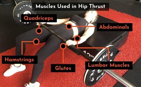 Is hip thrusting easier than deadlift?