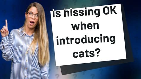 Is hissing OK when introducing cats?