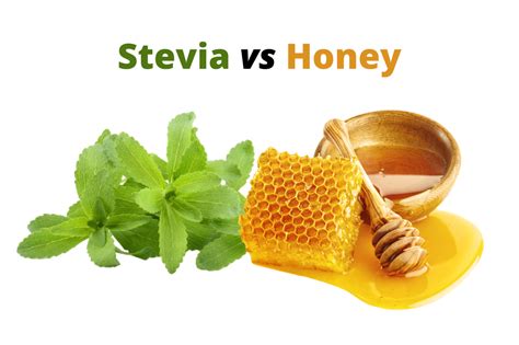 Is honey better than stevia?