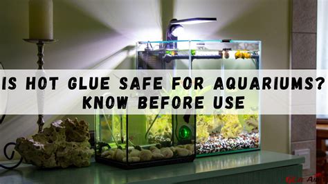 Is hot glue safe for aquariums?