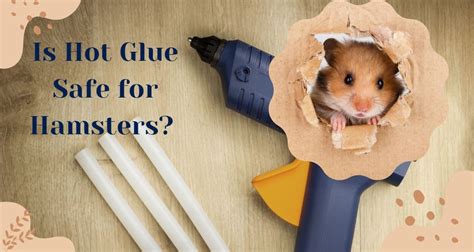 Is hot glue safe for hamsters?