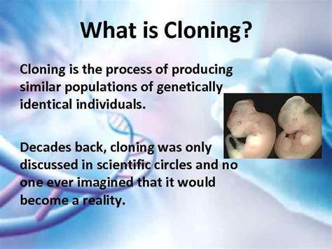 Is human cloning allowed?