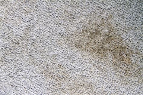 Is humidity bad for carpet?