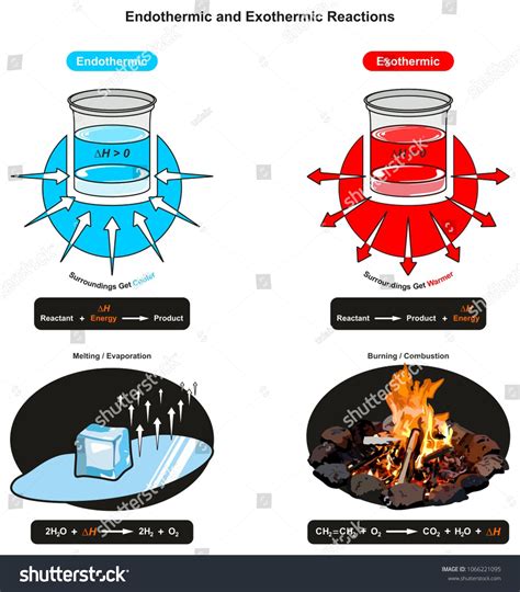 Is ice melting exothermic?