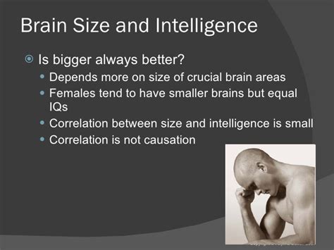 Is intelligence depends on the size of brain?
