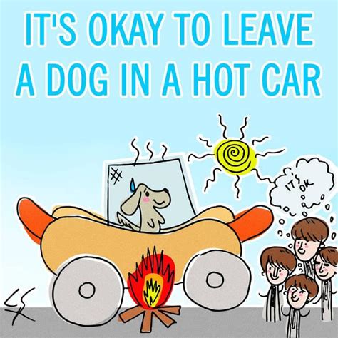 Is it's okay to leave a dog in a hot car real?