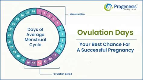 Is it 100% chance of getting pregnant on ovulation day?