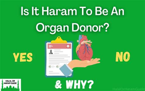 Is it Haram to be an organ donor after death?