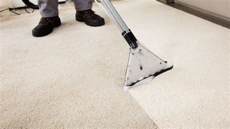 Is it OK for carpet to be damp after cleaning?