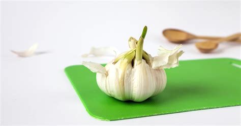 Is it OK if garlic is green?