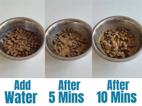 Is it OK to add water to dry dog food?