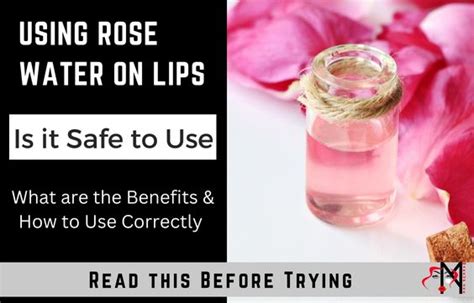 Is it OK to apply rose water on lips?