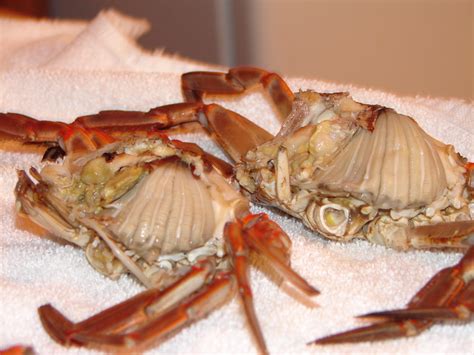 Is it OK to boil dead crabs?