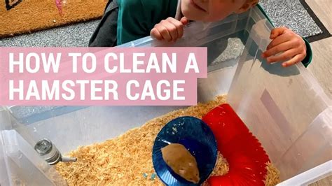 Is it OK to clean a hamster cage?