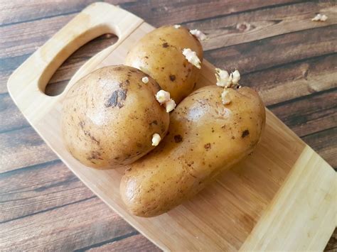Is it OK to cook with potatoes that have sprouted?