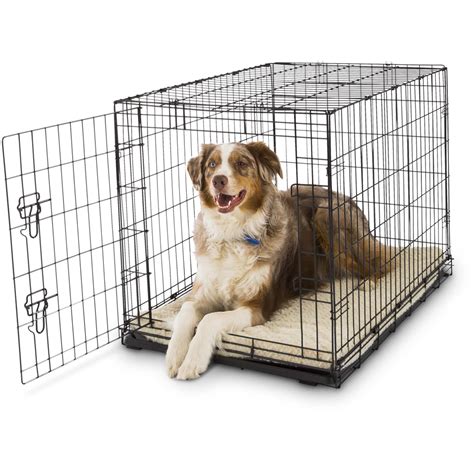 Is it OK to crate a dog during the day?