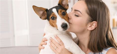 Is it OK to cuddle and kiss your dog?