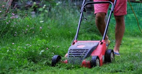 Is it OK to cut wet grass with an electric lawn mower?