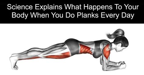 Is it OK to do planks everyday?