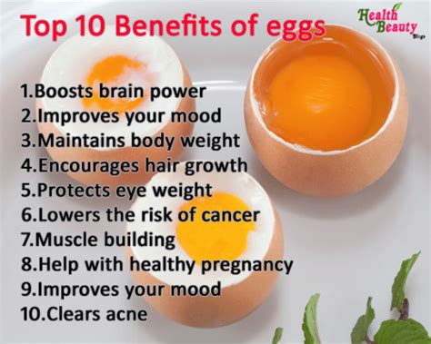 Is it OK to eat 15 eggs a day?