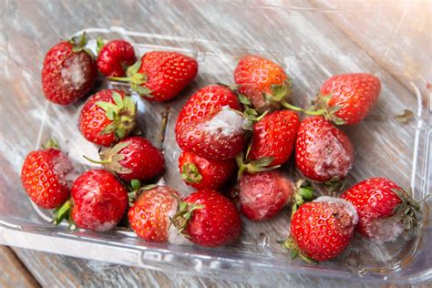 Is it OK to eat 20 strawberries?