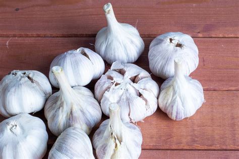 Is it OK to eat a whole garlic bulb?