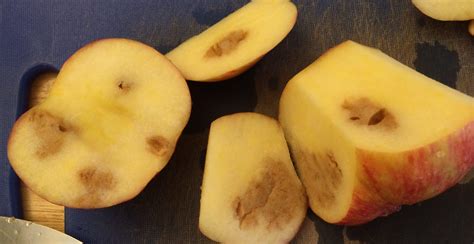 Is it OK to eat browned apples?