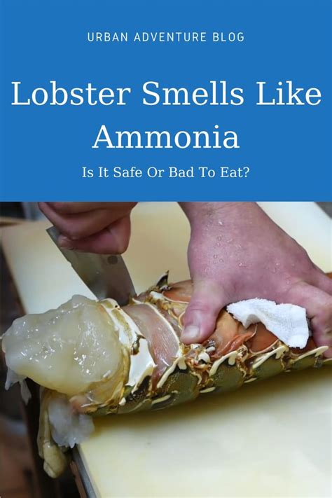 Is it OK to eat crab that smells like ammonia?