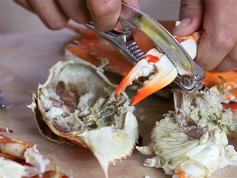 Is it OK to eat female crabs?