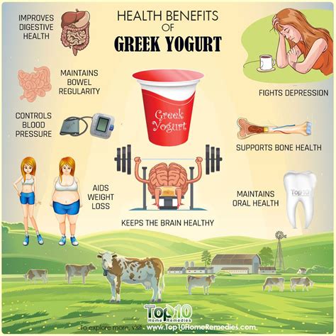 Is it OK to eat low-fat Greek yogurt everyday?