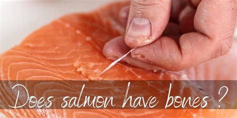 Is it OK to eat salmon bones?