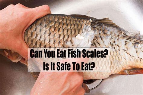 Is it OK to eat scales from fish?