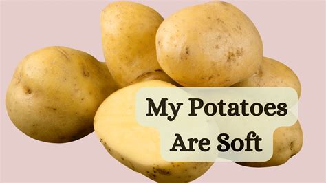 Is it OK to eat soft potatoes?