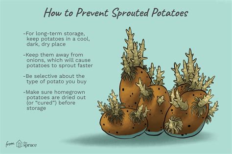 Is it OK to eat sprouted potatoes?