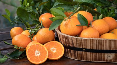 Is it OK to eat too much oranges?