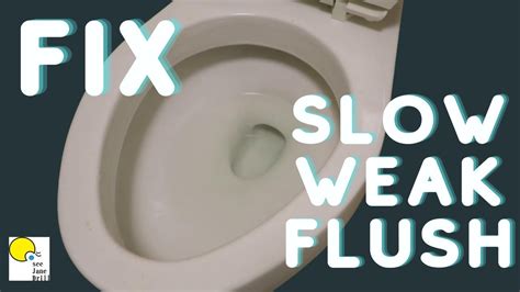 Is it OK to flush a tick down the toilet?