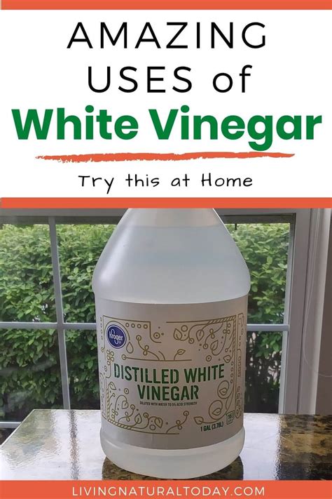 Is it OK to have white vinegar everyday?