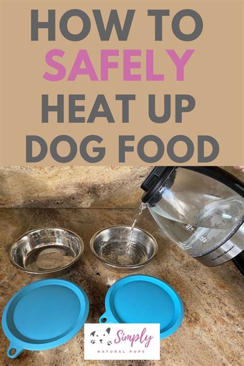 Is it OK to heat up dog food?